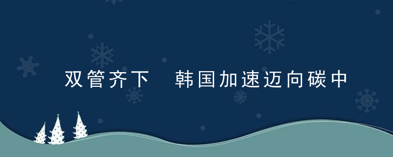 双管齐下 韩国加速迈向碳中和